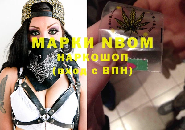 гидропоника Алзамай