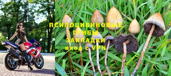 гидропоника Алзамай