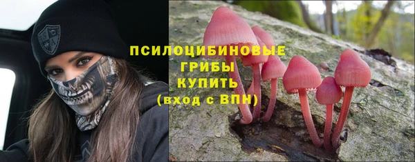 гидропоника Алзамай