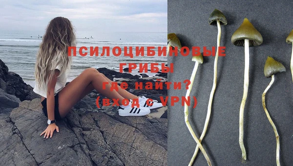 первитин Алексин