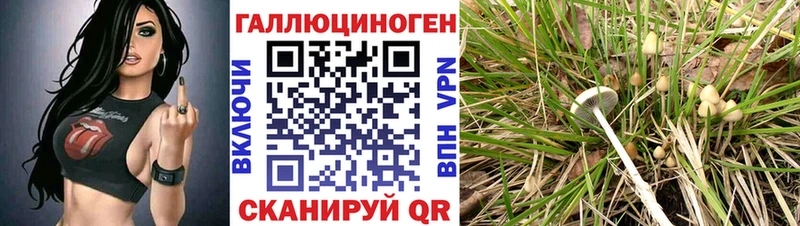 Галлюциногенные грибы MAGIC MUSHROOMS  Тольятти 