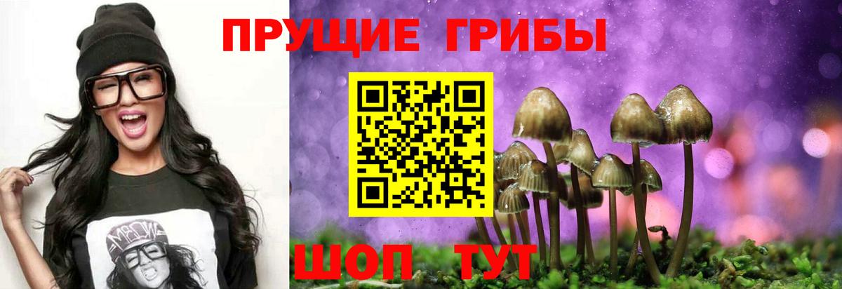 Тольятти  Галлюциногенные грибы мицелий  Галлюциногенные грибы мицелий  где купить наркотик  Вход с VPN 
